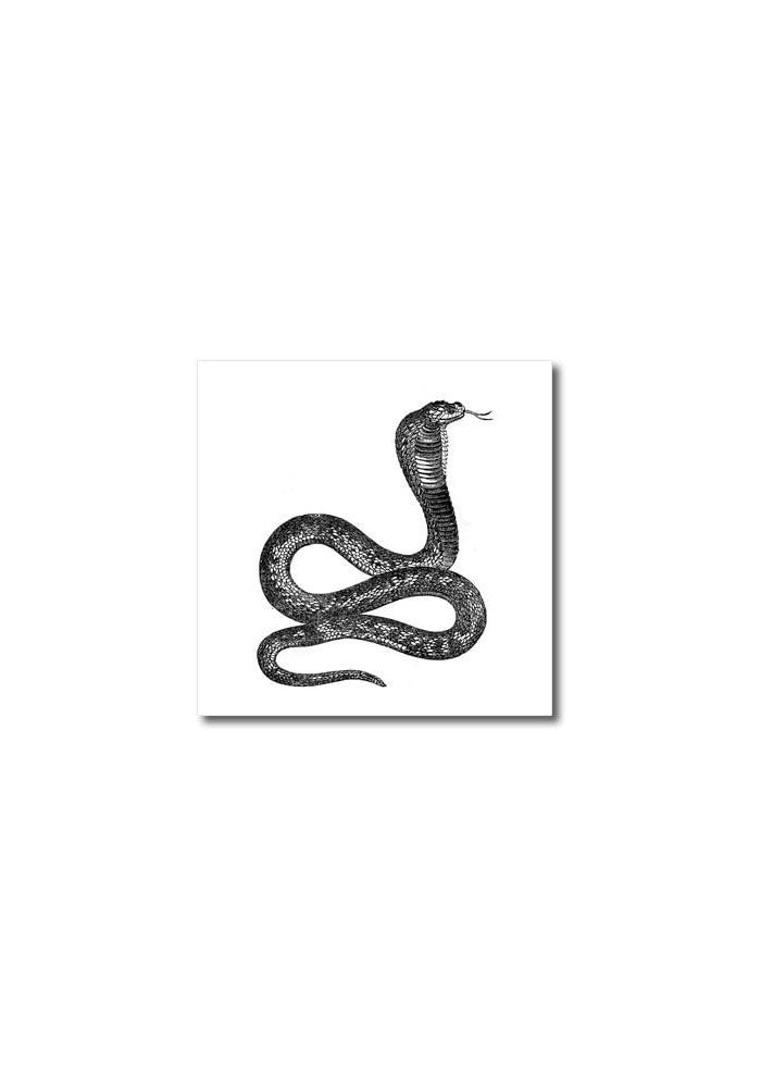 3DROSE Black and White Vintage Cobra Snake Iron On Heat Transfer - 20cm x 20cm for Light Colored Fabrics - Image 2